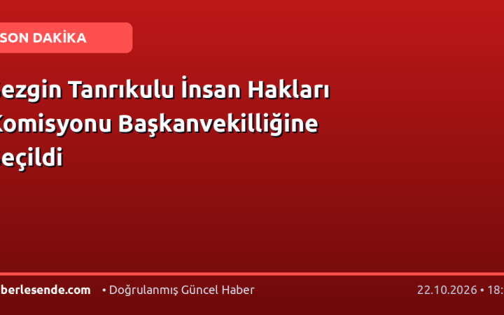 Sezgin Tanrıkulu İnsan Hakları Komisyonu Başkanvekilliğine Seçildi