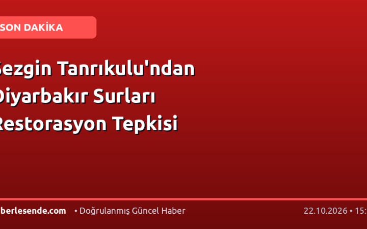 Sezgin Tanrıkulu'ndan Diyarbakır Surları Restorasyon Tepkisi