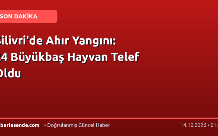 Silivri'de Ahır Yangını: 24 Büyükbaş Hayvan Telef Oldu