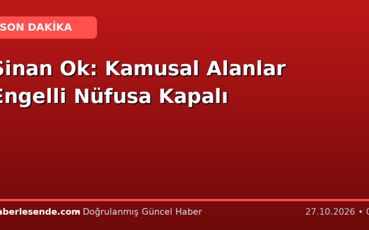 Sinan Ok: Kamusal Alanlar Engelli Nüfusa Kapalı