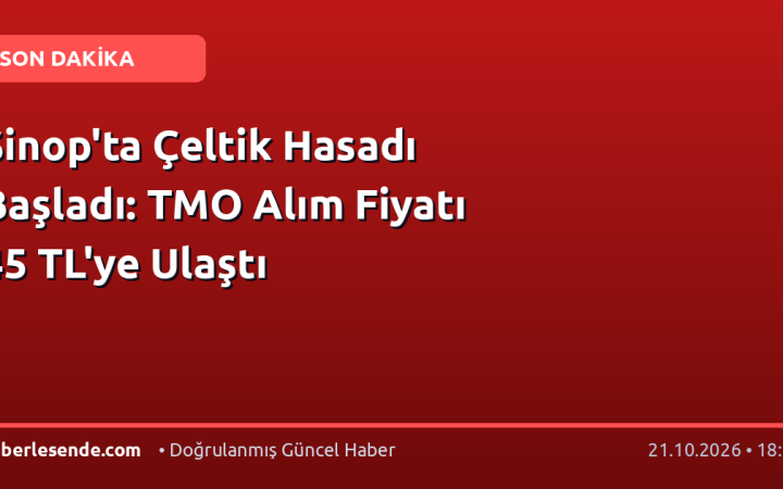 Sinop'ta Çeltik Hasadı Başladı: TMO Alım Fiyatı 45 TL'ye Ulaştı