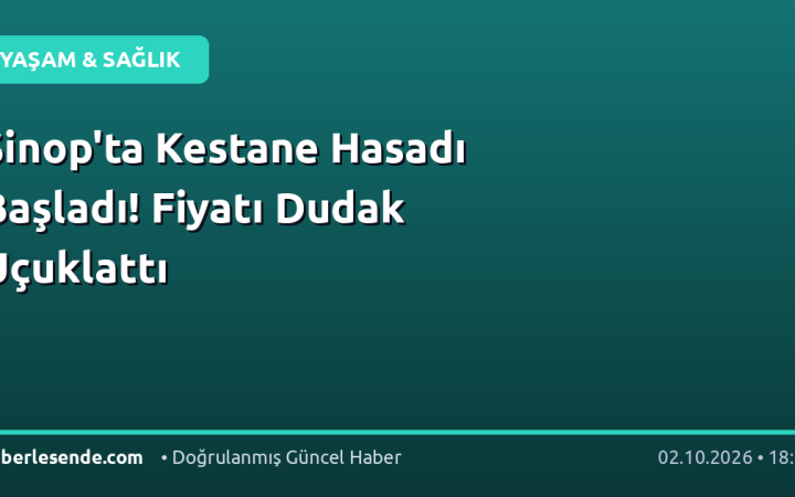Sinop'ta Kestane Hasadı Başladı! Fiyatı Dudak Uçuklattı