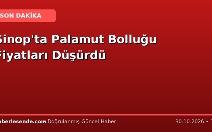 Sinop'ta Palamut Bolluğu Fiyatları Düşürdü