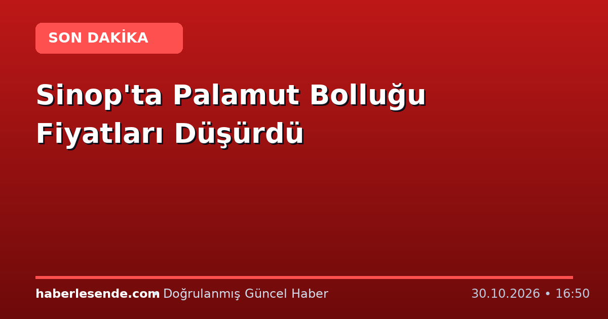 Sinop'ta Palamut Bolluğu Fiyatları Düşürdü