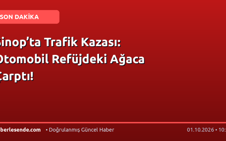 Sinop’ta Trafik Kazası: Otomobil Refüjdeki Ağaca Çarptı!