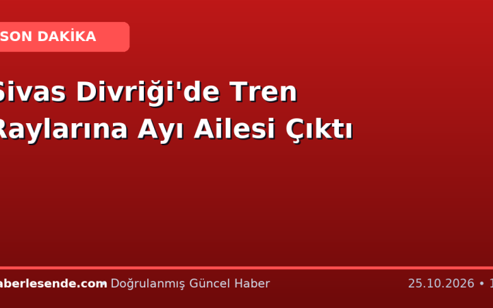 Sivas Divriği'de Tren Raylarına Ayı Ailesi Çıktı