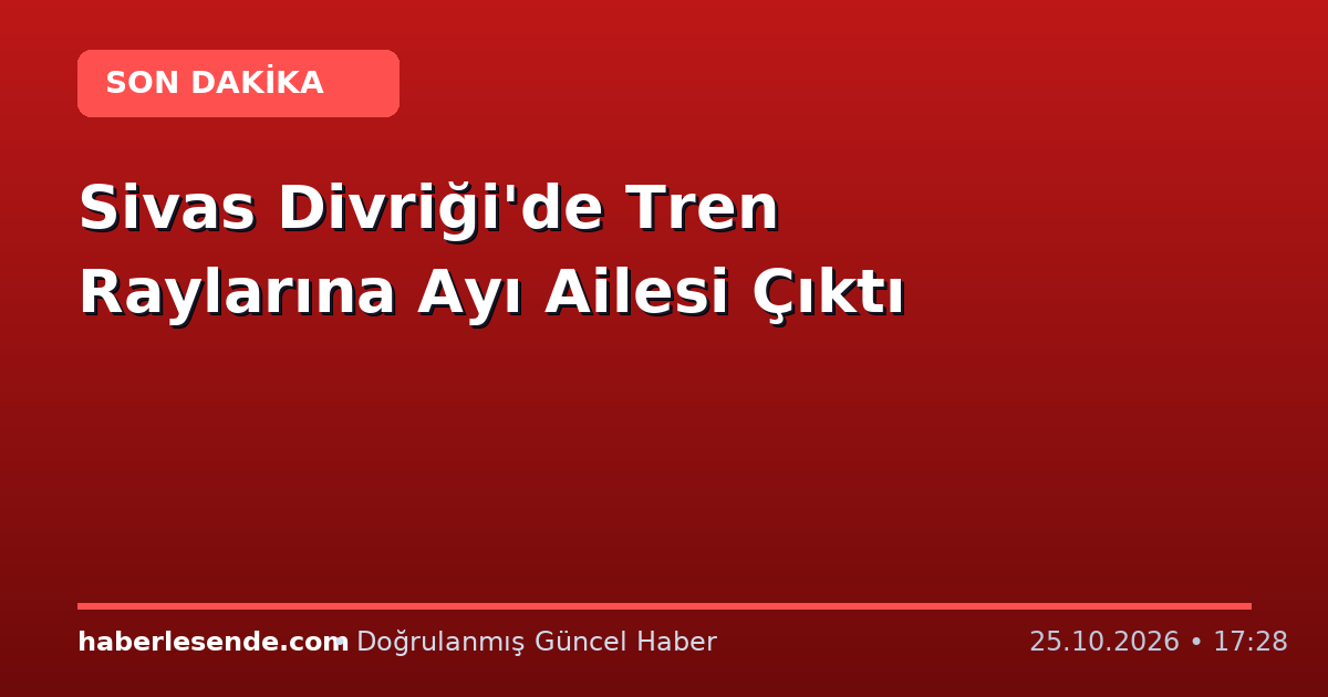 Sivas Divriği'de Tren Raylarına Ayı Ailesi Çıktı