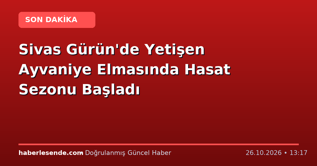 Sivas Gürün'de Yetişen Ayvaniye Elmasında Hasat Sezonu Başladı