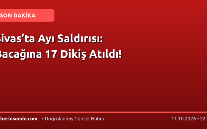 Sivas’ta Ayı Saldırısı: Bacağına 17 Dikiş Atıldı!