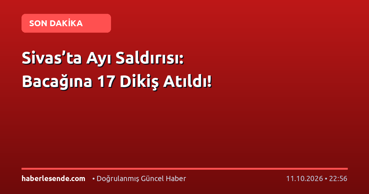 Sivas’ta Ayı Saldırısı: Bacağına 17 Dikiş Atıldı!