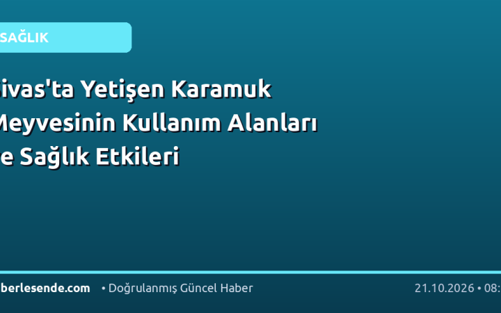 Sivas'ta Yetişen Karamuk Meyvesinin Kullanım Alanları ve Sağlık Etkileri