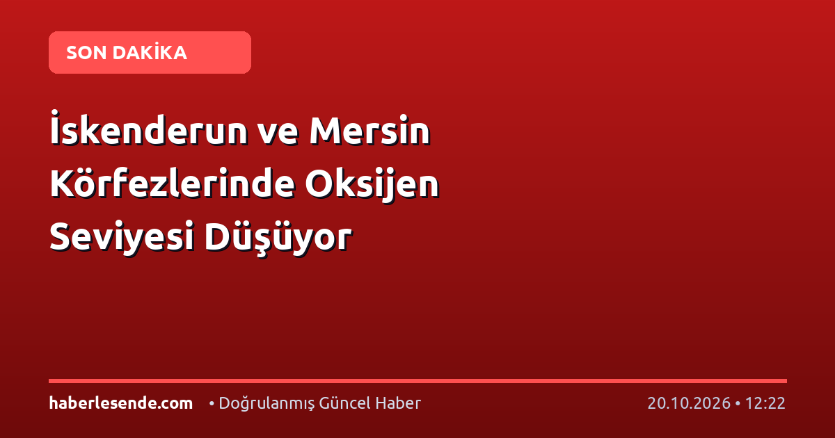 İskenderun ve Mersin Körfezlerinde Oksijen Seviyesi Düşüyor