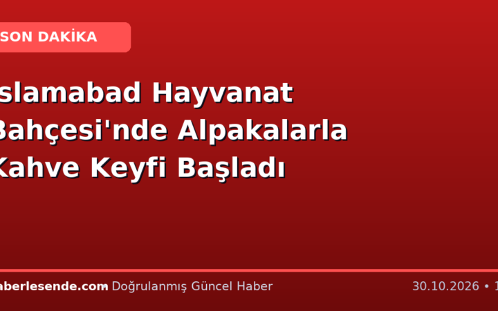 İslamabad Hayvanat Bahçesi'nde Alpakalarla Kahve Keyfi Başladı