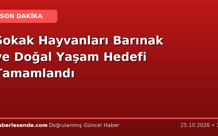 Sokak Hayvanları Barınak ve Doğal Yaşam Hedefi Tamamlandı