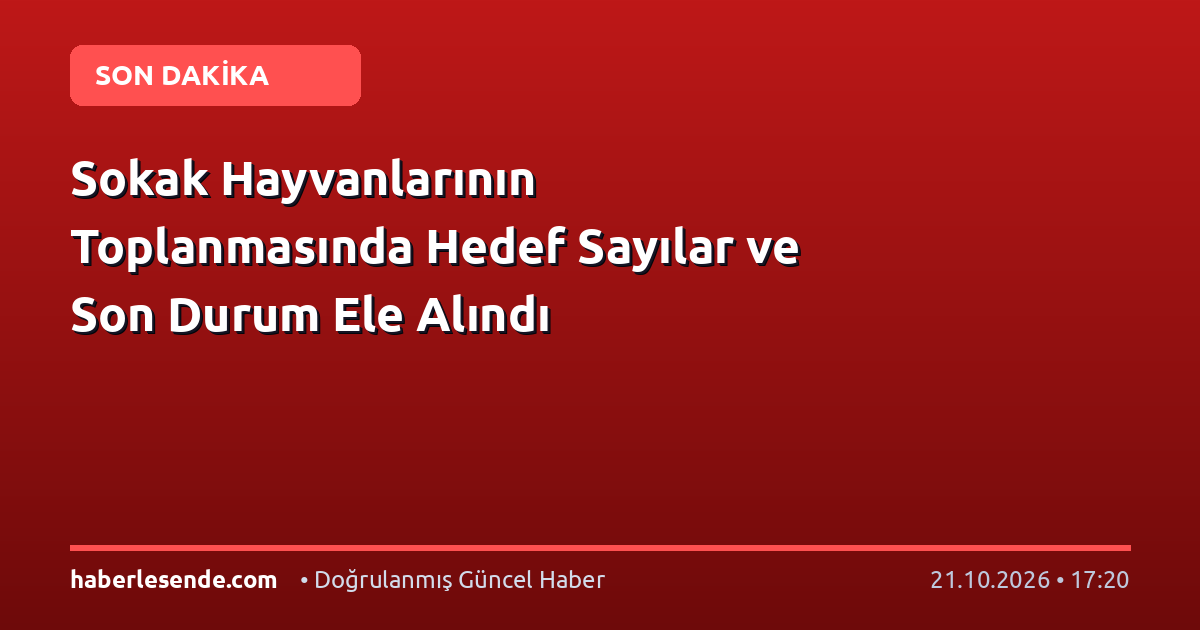 Sokak Hayvanlarının Toplanmasında Hedef Sayılar ve Son Durum Ele Alındı