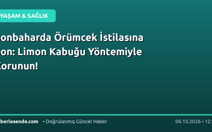 Sonbaharda Örümcek İstilasına Son: Limon Kabuğu Yöntemiyle Korunun!