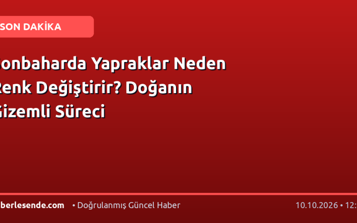 Sonbaharda Yapraklar Neden Renk Değiştirir? Doğanın Gizemli Süreci