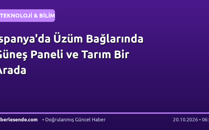 İspanya'da Üzüm Bağlarında Güneş Paneli ve Tarım Bir Arada