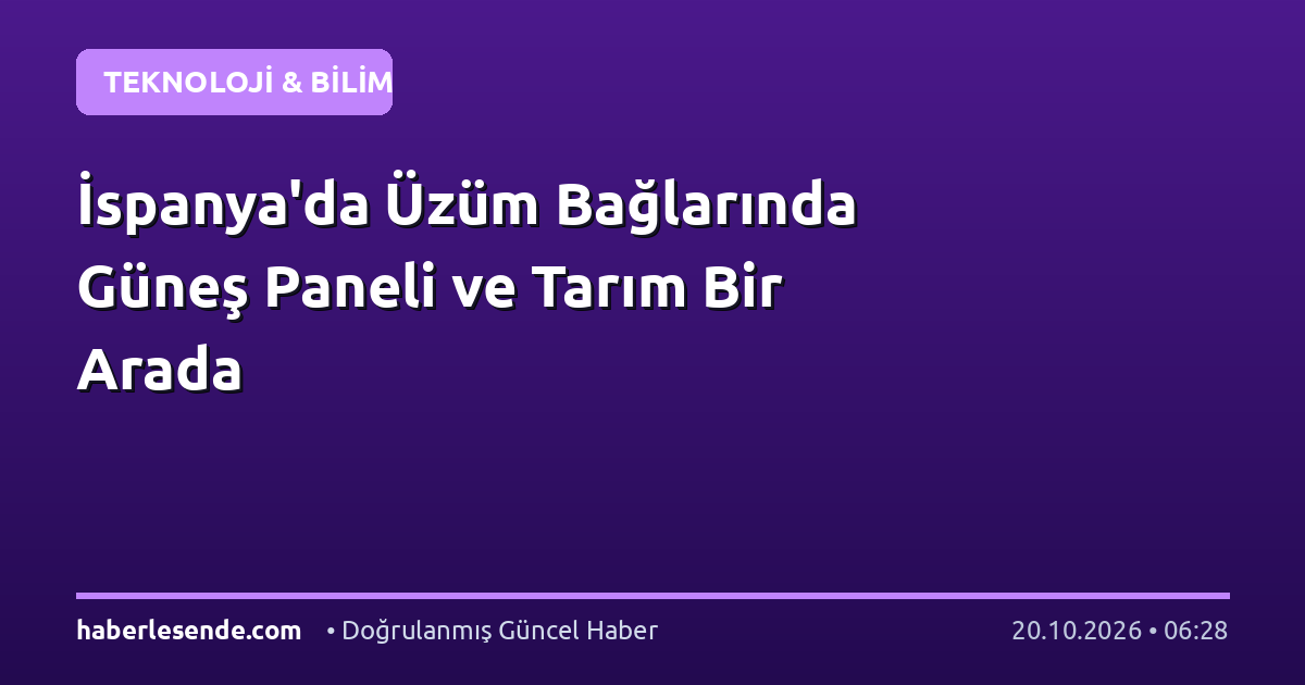 İspanya'da Üzüm Bağlarında Güneş Paneli ve Tarım Bir Arada