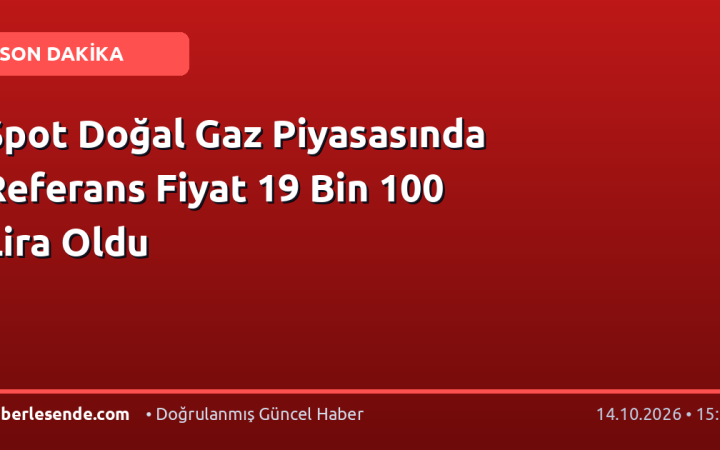 Spot Doğal Gaz Piyasasında Referans Fiyat 19 Bin 100 Lira Oldu