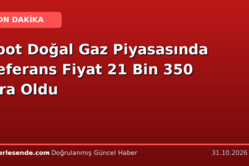 Spot Doğal Gaz Piyasasında Referans Fiyat 21 Bin 350 Lira Oldu