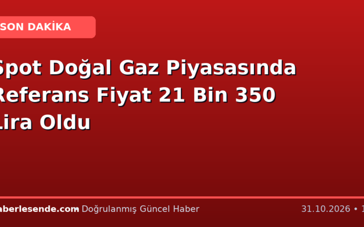 Spot Doğal Gaz Piyasasında Referans Fiyat 21 Bin 350 Lira Oldu