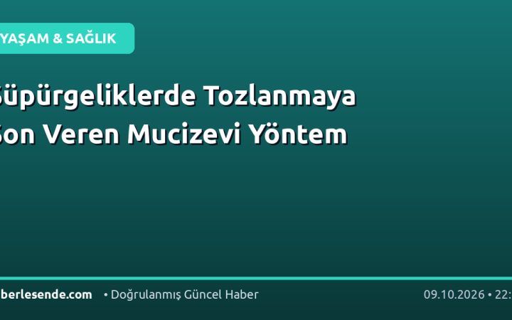 Süpürgeliklerde Tozlanmaya Son Veren Mucizevi Yöntem