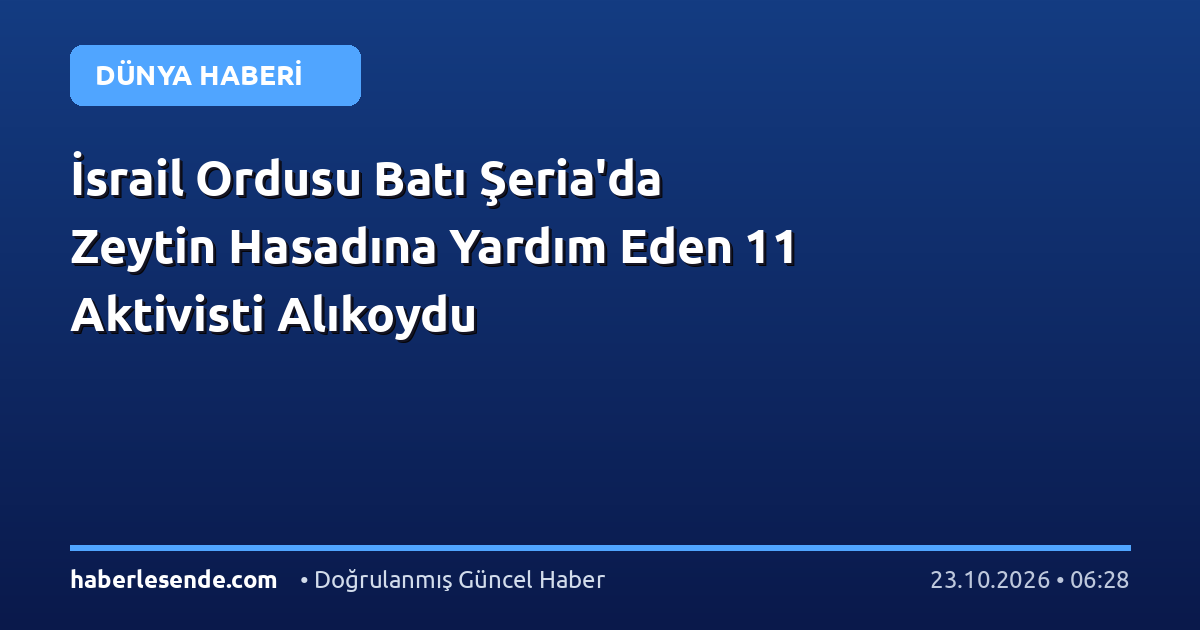 İsrail Ordusu Batı Şeria'da Zeytin Hasadına Yardım Eden 11 Aktivisti Alıkoydu