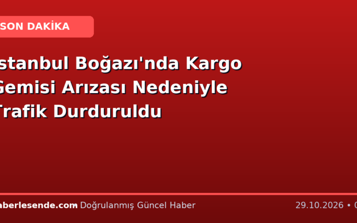 İstanbul Boğazı'nda Kargo Gemisi Arızası Nedeniyle Trafik Durduruldu