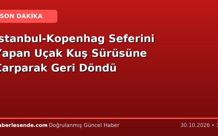 İstanbul-Kopenhag Seferini Yapan Uçak Kuş Sürüsüne Çarparak Geri Döndü