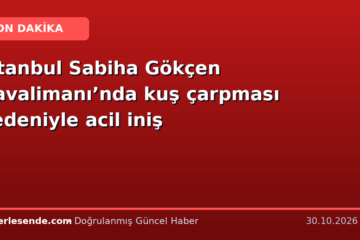 İstanbul Sabiha Gökçen Havalimanı’nda kuş çarpması nedeniyle acil iniş