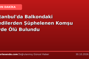 İstanbul'da Balkondaki Kedilerden Şüphelenen Komşu Evde Ölü Bulundu