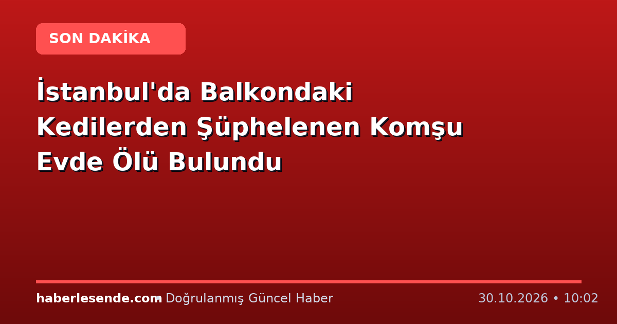 İstanbul'da Balkondaki Kedilerden Şüphelenen Komşu Evde Ölü Bulundu