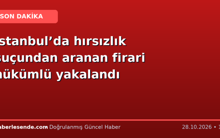 İstanbul’da hırsızlık suçundan aranan firari hükümlü yakalandı