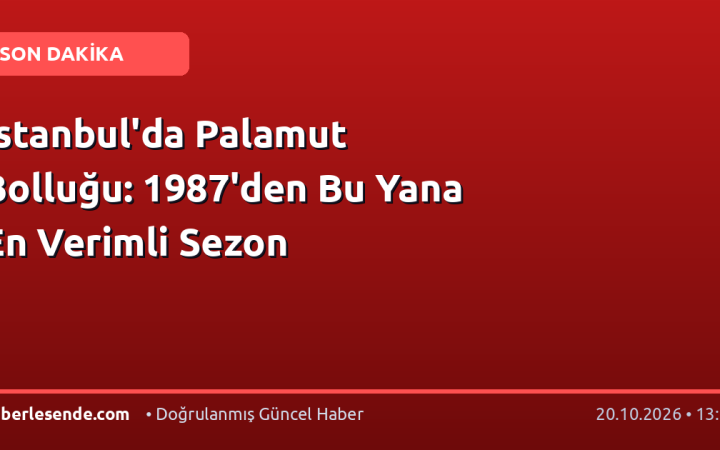 İstanbul'da Palamut Bolluğu: 1987'den Bu Yana En Verimli Sezon