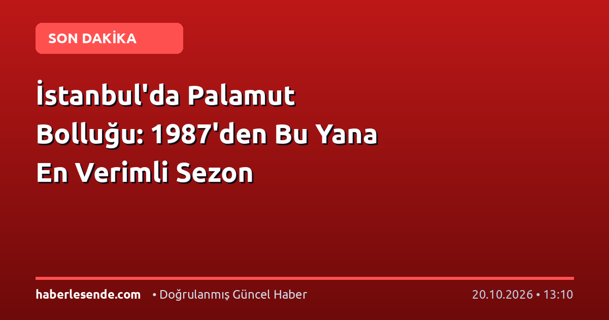 İstanbul'da Palamut Bolluğu: 1987'den Bu Yana En Verimli Sezon