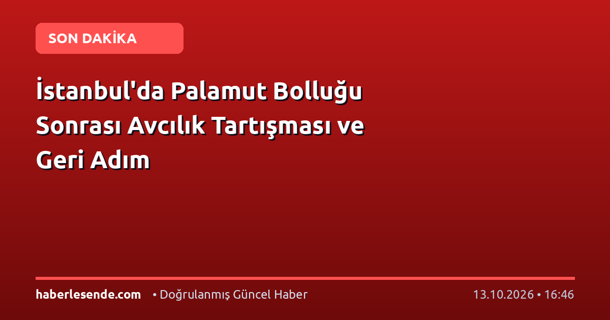 İstanbul'da Palamut Bolluğu Sonrası Avcılık Tartışması ve Geri Adım