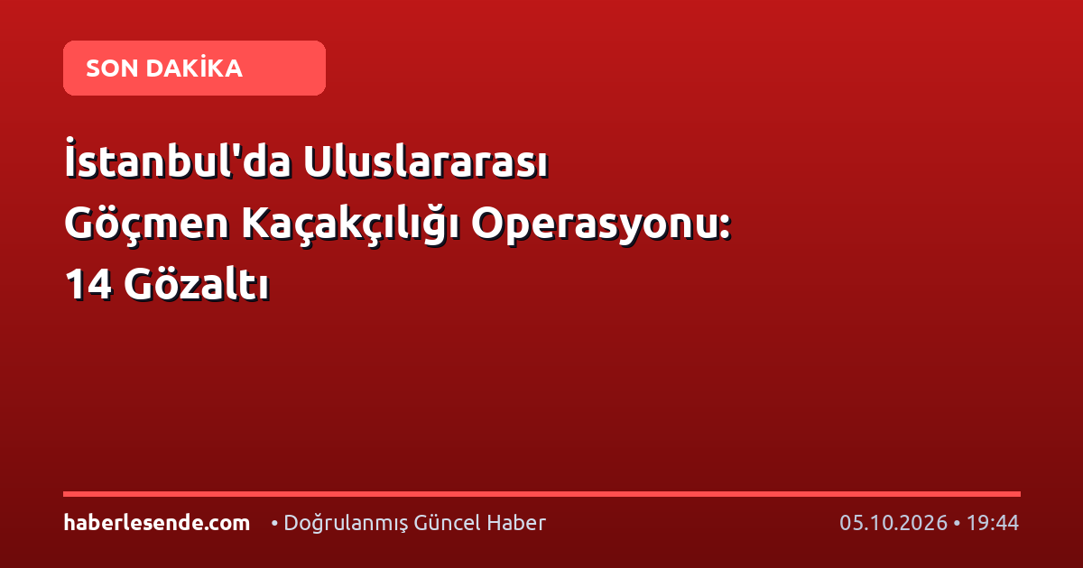 İstanbul'da Uluslararası Göçmen Kaçakçılığı Operasyonu: 14 Gözaltı