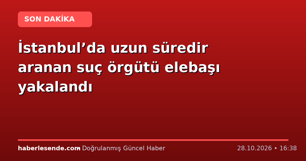 İstanbul’da uzun süredir aranan suç örgütü elebaşı yakalandı