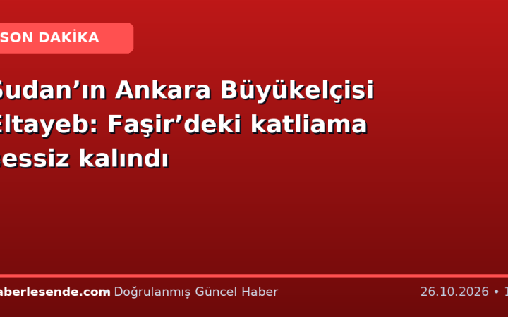 Sudan’ın Ankara Büyükelçisi Eltayeb: Faşir’deki katliama sessiz kalındı