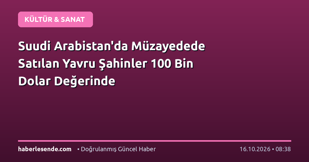 Suudi Arabistan'da Müzayedede Satılan Yavru Şahinler 100 Bin Dolar Değerinde