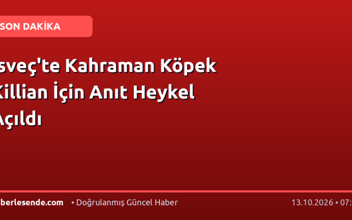 İsveç'te Kahraman Köpek Killian İçin Anıt Heykel Açıldı