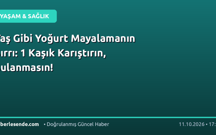 Taş Gibi Yoğurt Mayalamanın Sırrı: 1 Kaşık Karıştırın, Sulanmasın!
