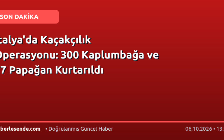 İtalya'da Kaçakçılık Operasyonu: 300 Kaplumbağa ve 77 Papağan Kurtarıldı