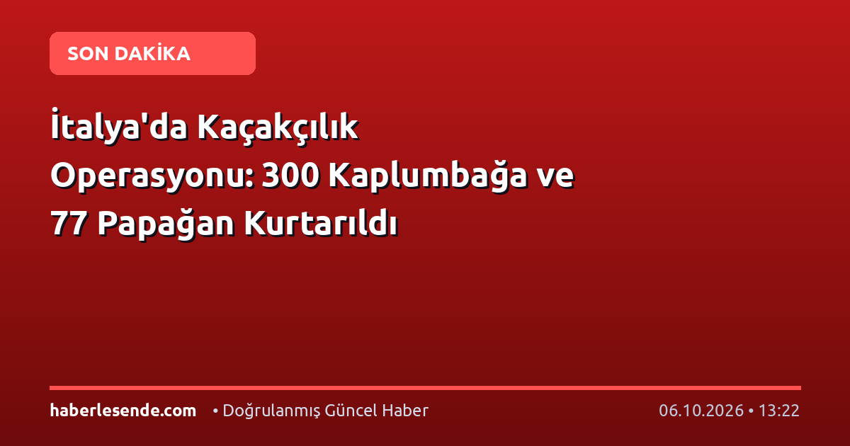 İtalya'da Kaçakçılık Operasyonu: 300 Kaplumbağa ve 77 Papağan Kurtarıldı