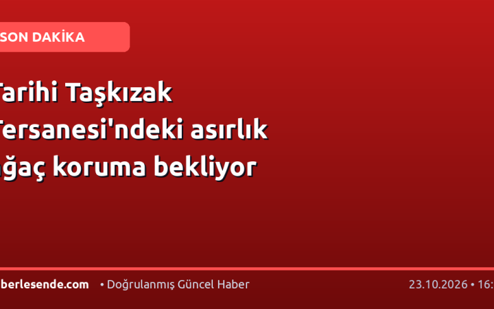 Tarihi Taşkızak Tersanesi'ndeki asırlık ağaç koruma bekliyor