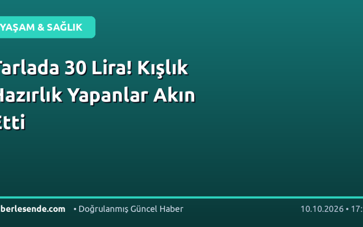 Tarlada 30 Lira! Kışlık Hazırlık Yapanlar Akın Etti