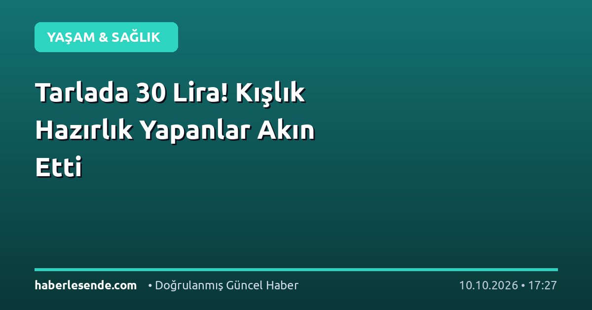 Tarlada 30 Lira! Kışlık Hazırlık Yapanlar Akın Etti