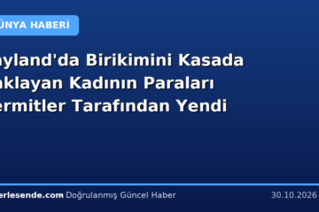 Tayland'da Birikimini Kasada Saklayan Kadının Paraları Termitler Tarafından Yendi