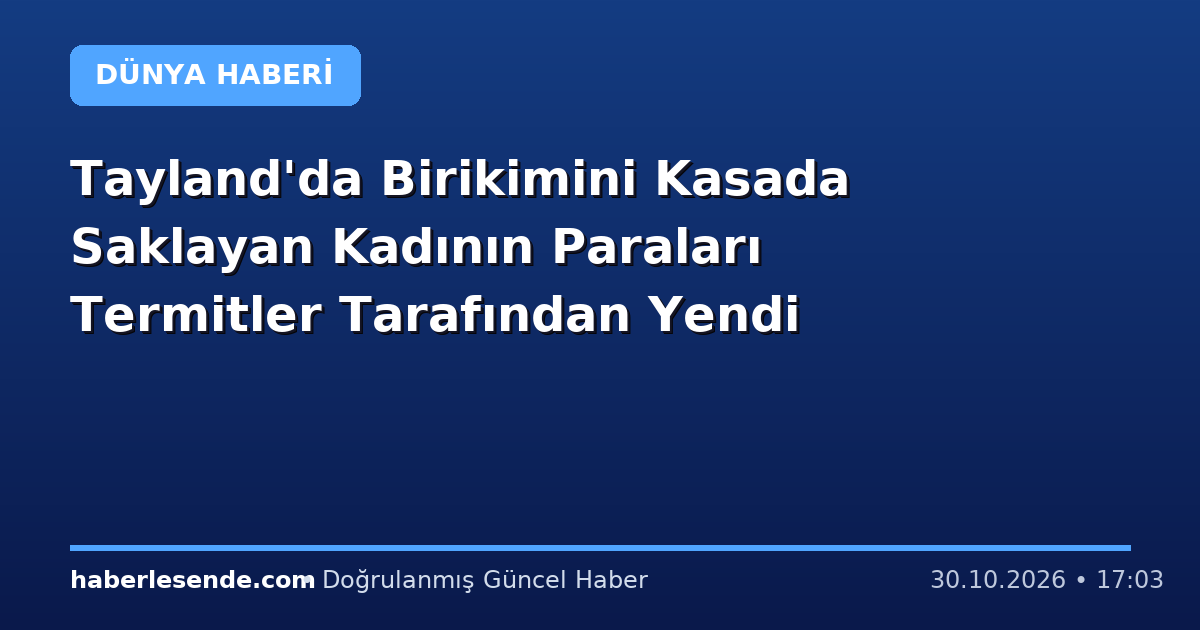 Tayland'da Birikimini Kasada Saklayan Kadının Paraları Termitler Tarafından Yendi